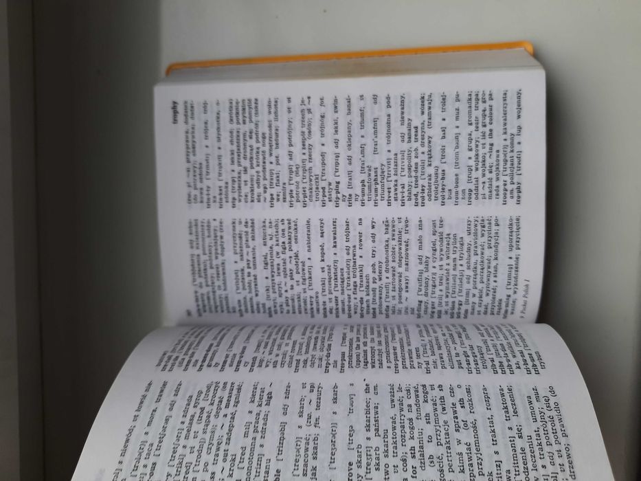 Słownik Pocket English Dictionary Langenscheidt