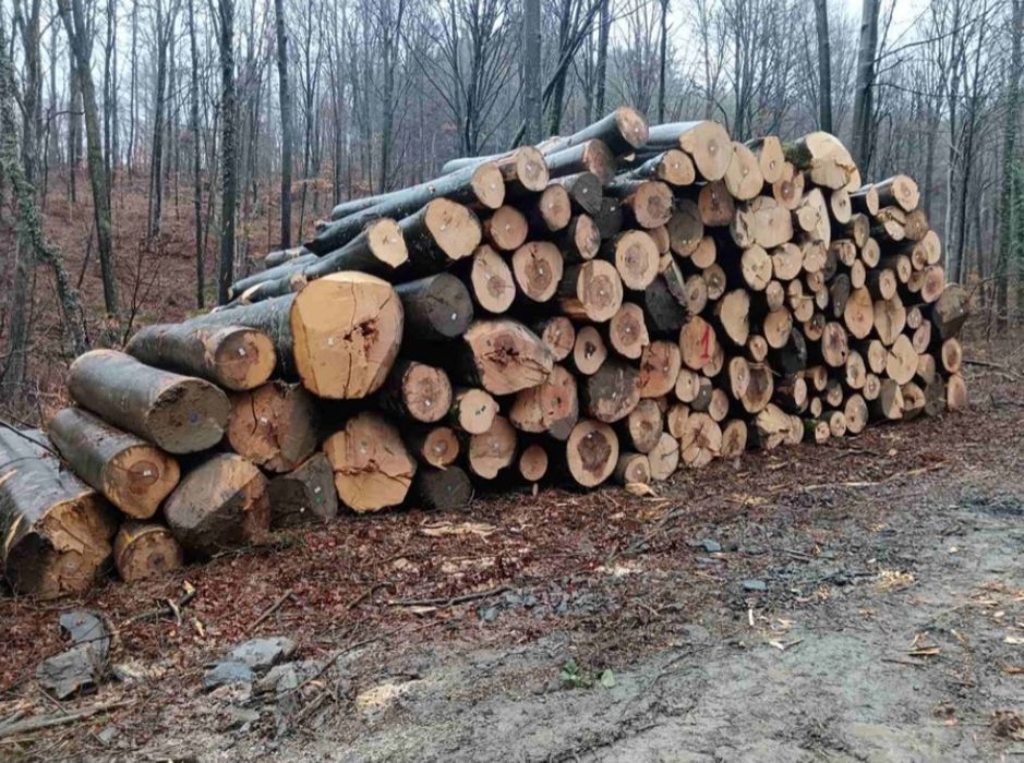 Дрова твердих порід з доставкою. Дуб вільха береза. Чесний об’єм, щільна укладка ряд до ряду. Телефонуйте! 2/7/10/65 м3