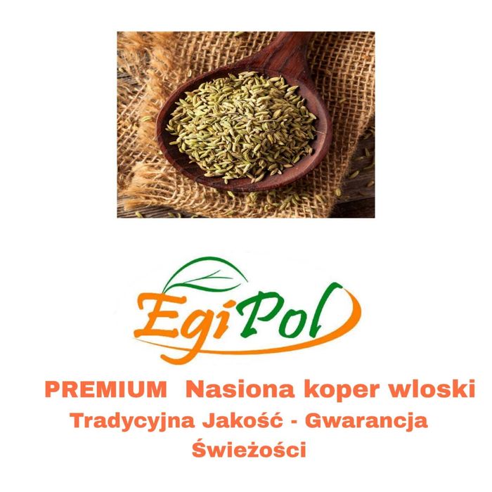 Sprzdeam Nasiona koper włoski / Ilosći hurtowa