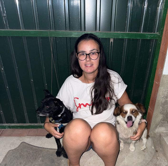 Pet Sitting e Dog Walking