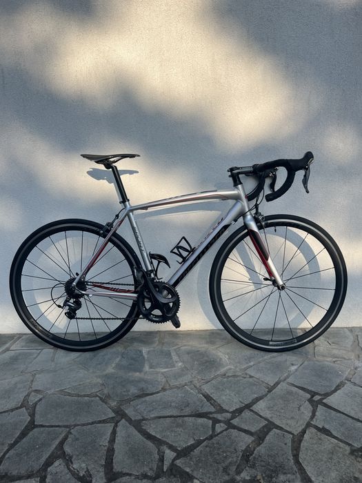 Rower szosowy Specialized Allez Shimano Ultegra