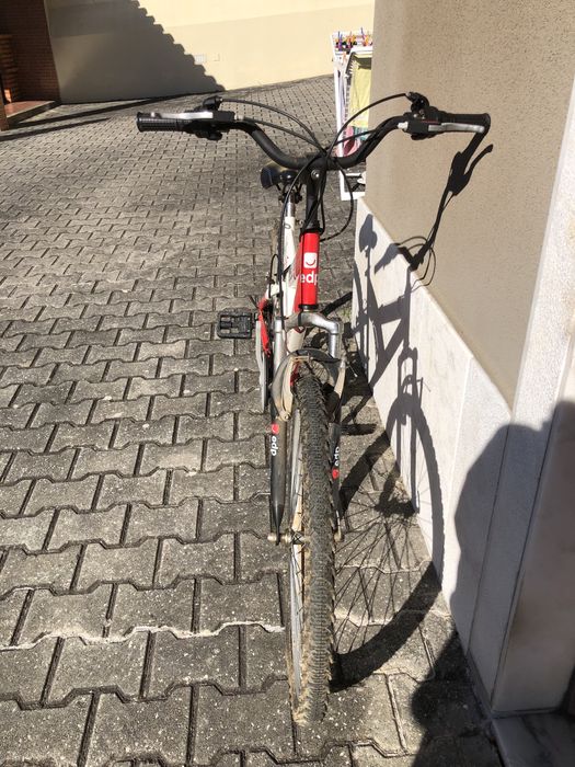 bicicleta focus montanha + oferta de uma bicicleta da edp