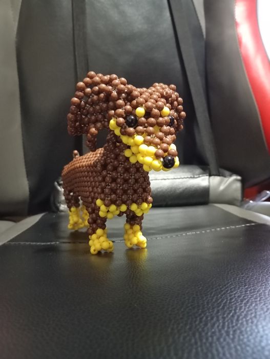 Dachshund (cão salsicha?