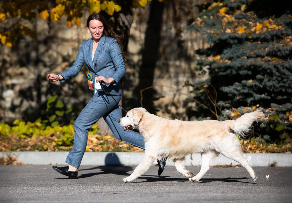 Чемпіон для в‘язки! КСУ-FCI