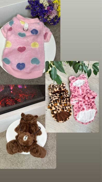 Одяг для собак. Одежда