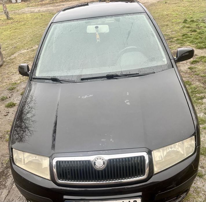 Шкода фабіна на ходу