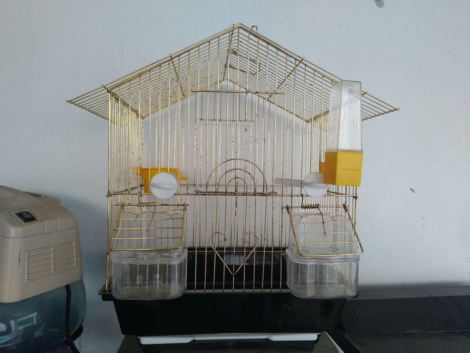 Aquários. E gaiolas