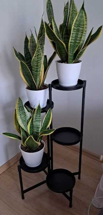 Kwietnik Stojak Metalowy na Kwiaty Dekoracje 5 Półek Czarny 80cm