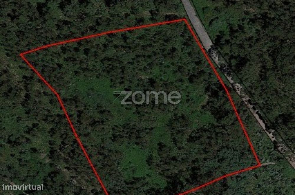 Terreno Rústico com 13.470 m2 em Monte Córdova - Santo Tirso