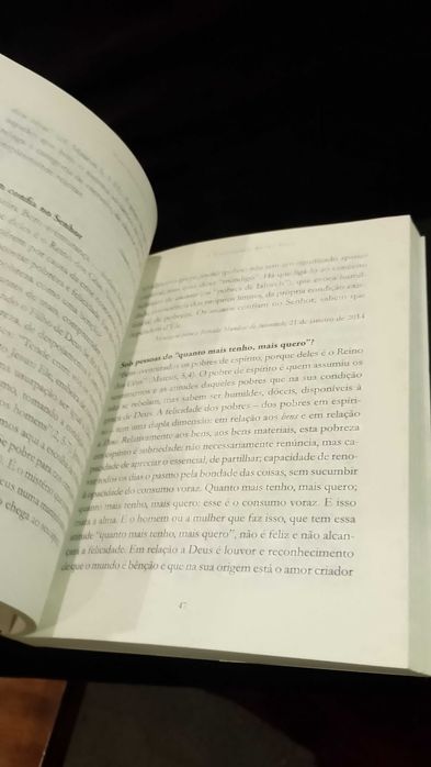 A Felicidade nesta Vida - Papa Francisco