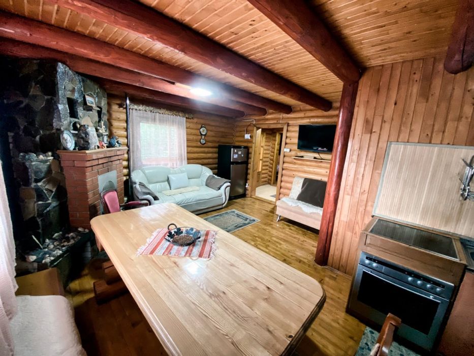 Будинок в Карпатах