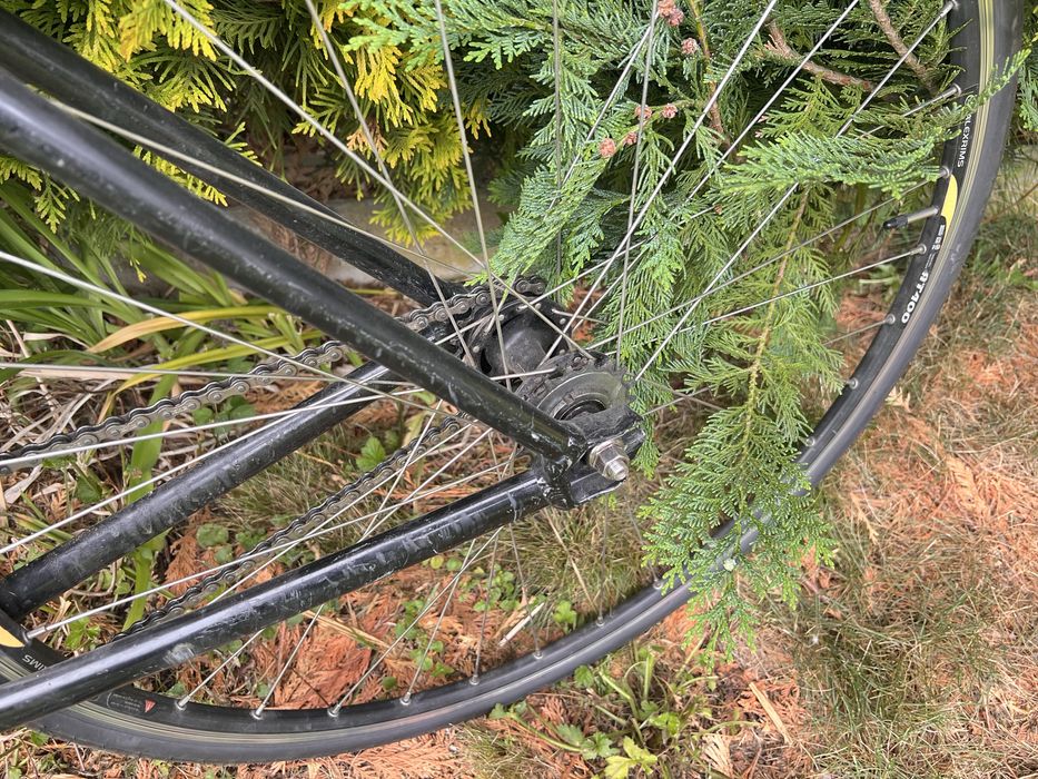 Rower Szosowy | Single Speed