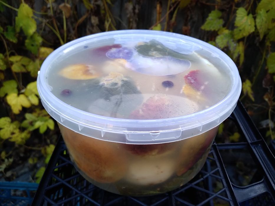 Гриби лісові  квашені,варення чорниці