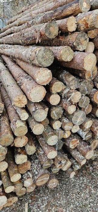 Stemple Budowlane TRANSPORT W CENIE