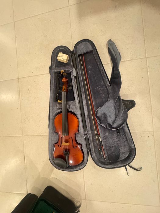Violino staag usado