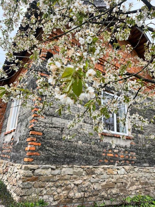 Продаж будинку біля Тернополя