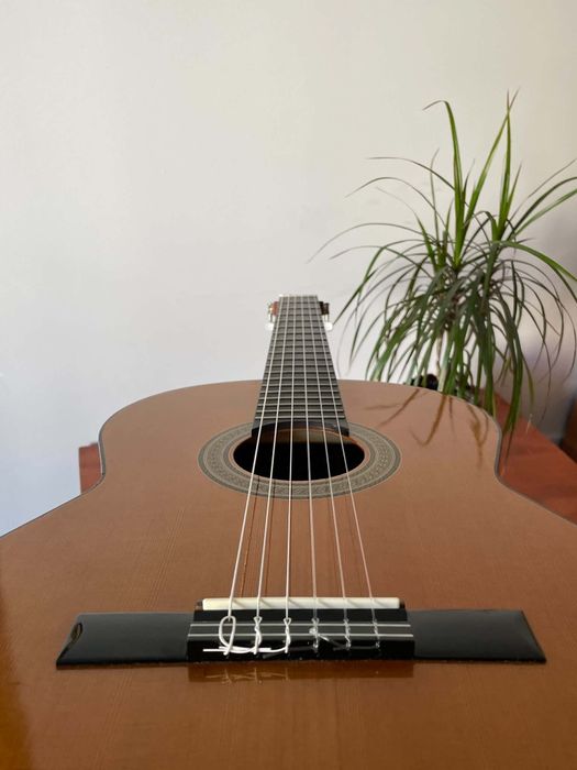 Gitara klasyczna 4/4 | Admira Malaga | Nowe struny Daddario