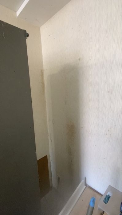 100% Знищення тарганів клопів блох мишей щурів шершнів ос с гарантією