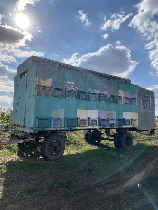 Павільйон для бджіл