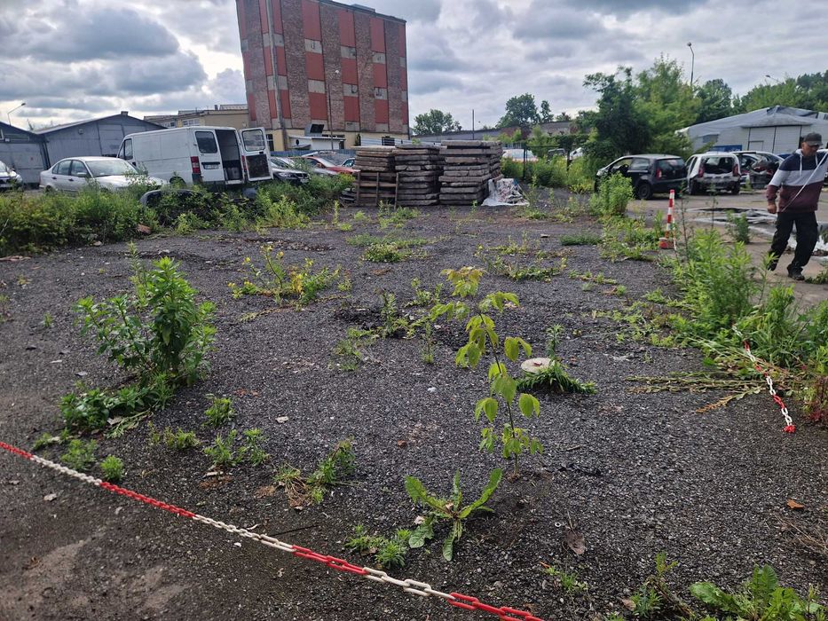 Wynajmę plac 400 m2