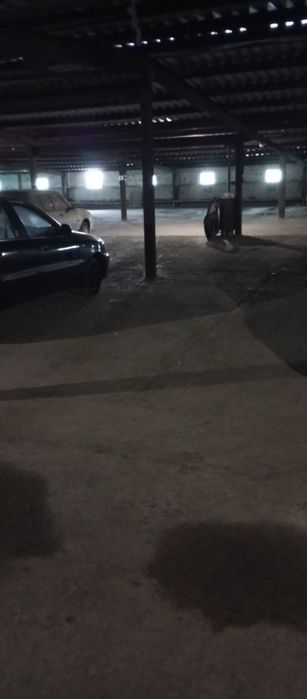 Сухоребрик 2025 рік