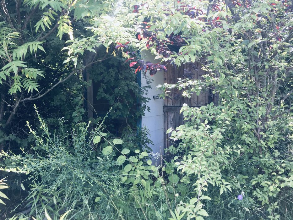 Земельна ділянка в Лісі 18сот. с.Вишнів, 10км.- Луцьк