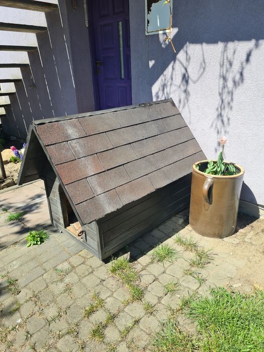 Psia buda duża i solidna