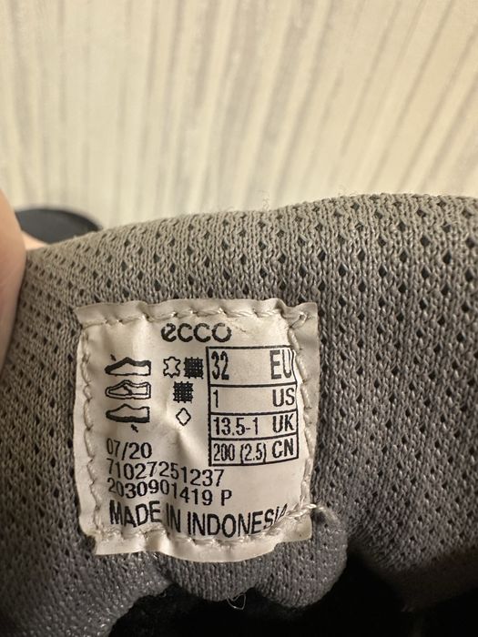 Зимові черевики, чоботи Ecco