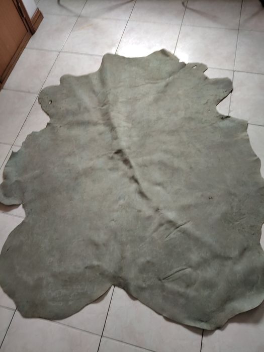 Carpete em bom estado