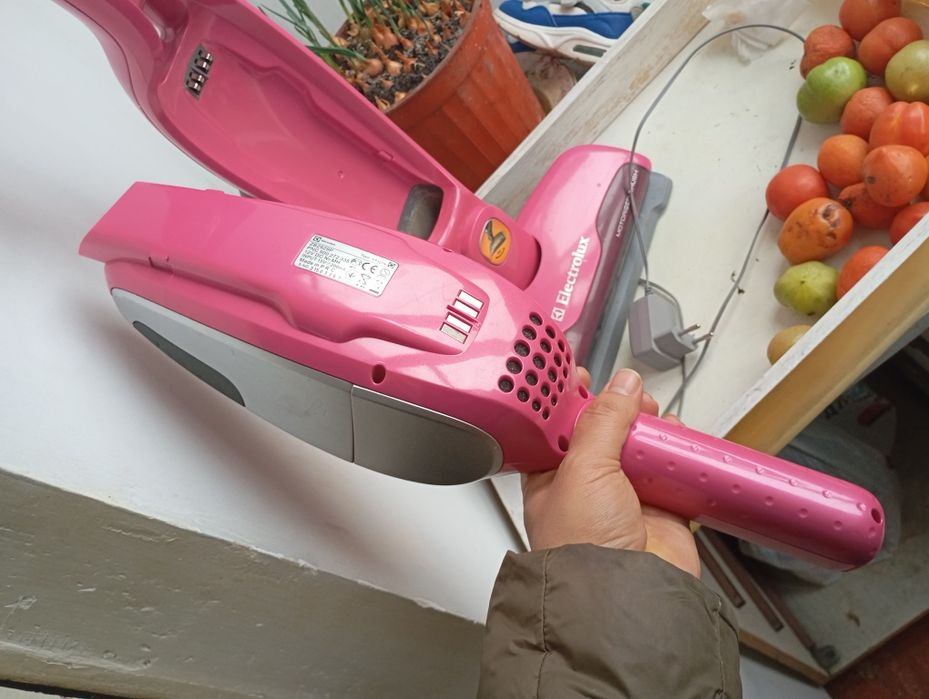 Ручний пилесос Electrolux ZB2929p розовий з Германії.