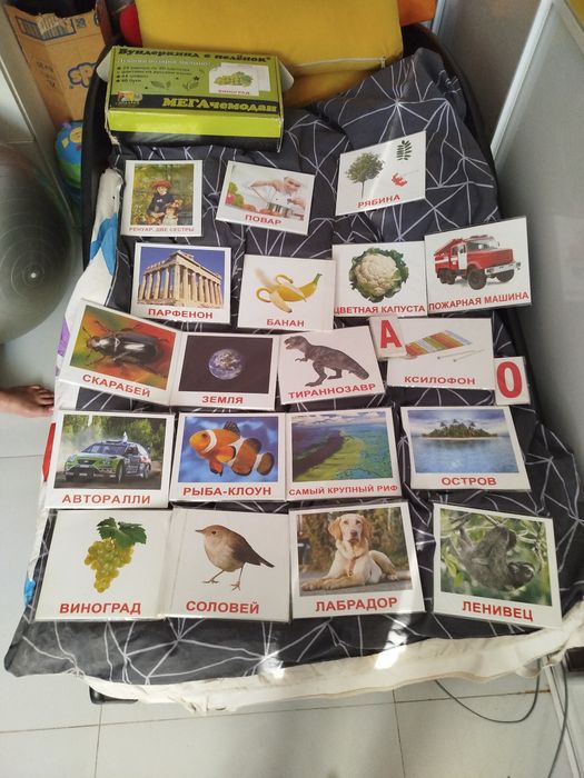 Карточки по Глен Доман 24 набора по 20 шт