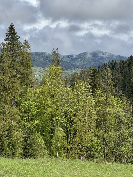 Ділянка в Карпатах, Микуличин земля біля потічка, біля заповідника ,