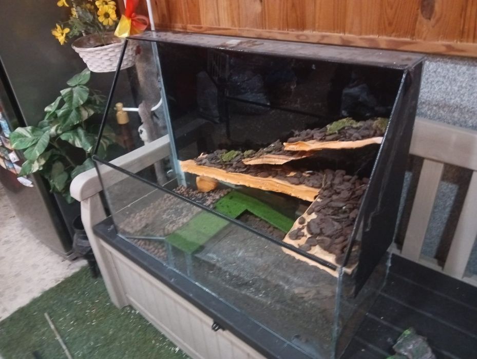 Aqua Terrário para despachar