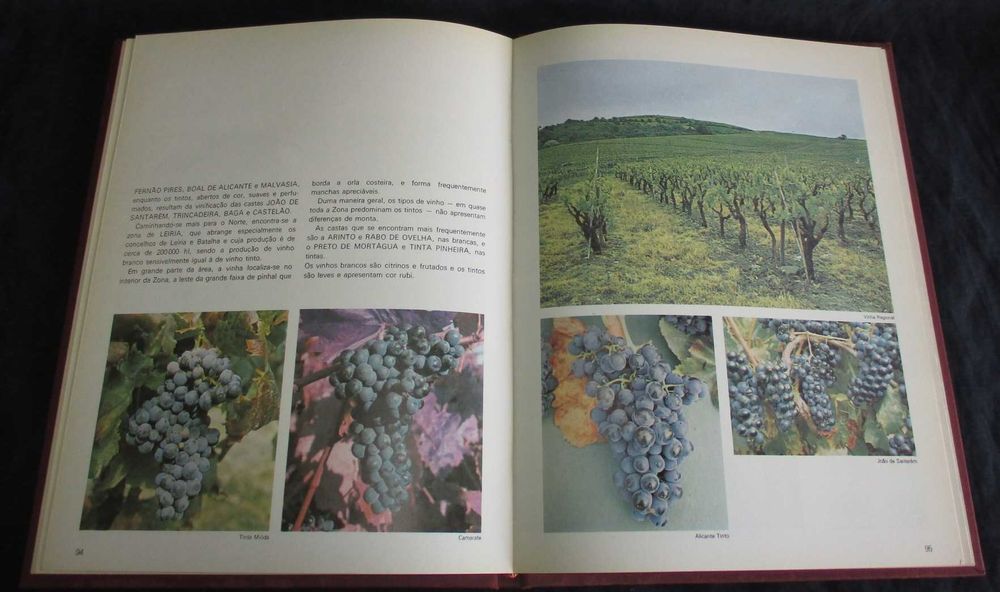 Livro Vinhos do Nosso País Bento de Carvalho, Lopes Correia