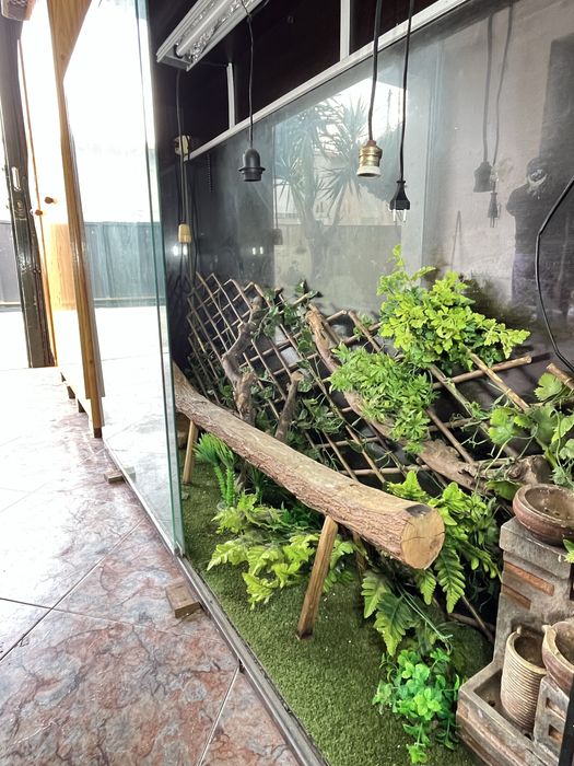 Terrario Grande +extras