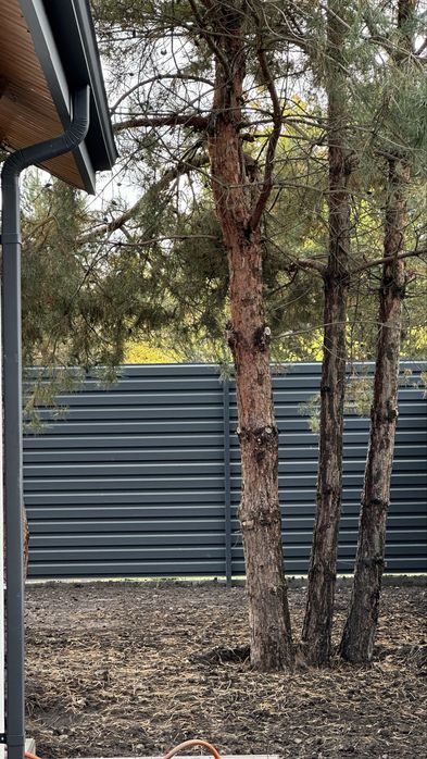 Продаж одноповерхового будинку! Віта-Поштова