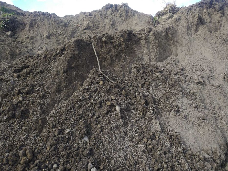 Ziemia ogrodowa,trawnikowa ,humus