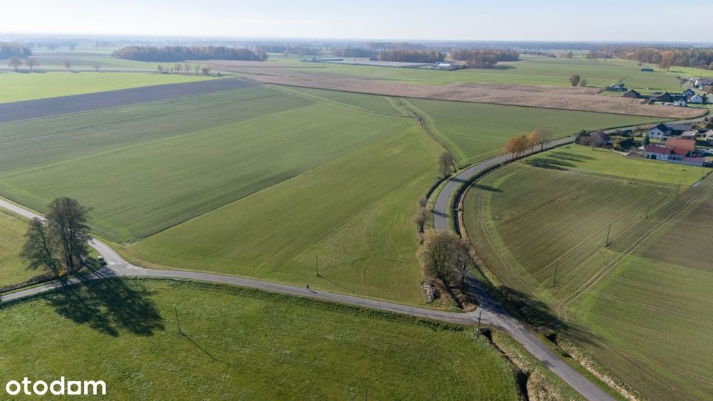 Działka budowlana 831 m² Dzielna - Widok 5