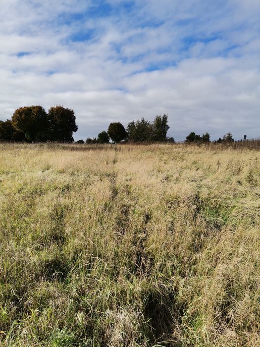 Działka budowlana w świetnej lokalizacji Polecam - Więcej
