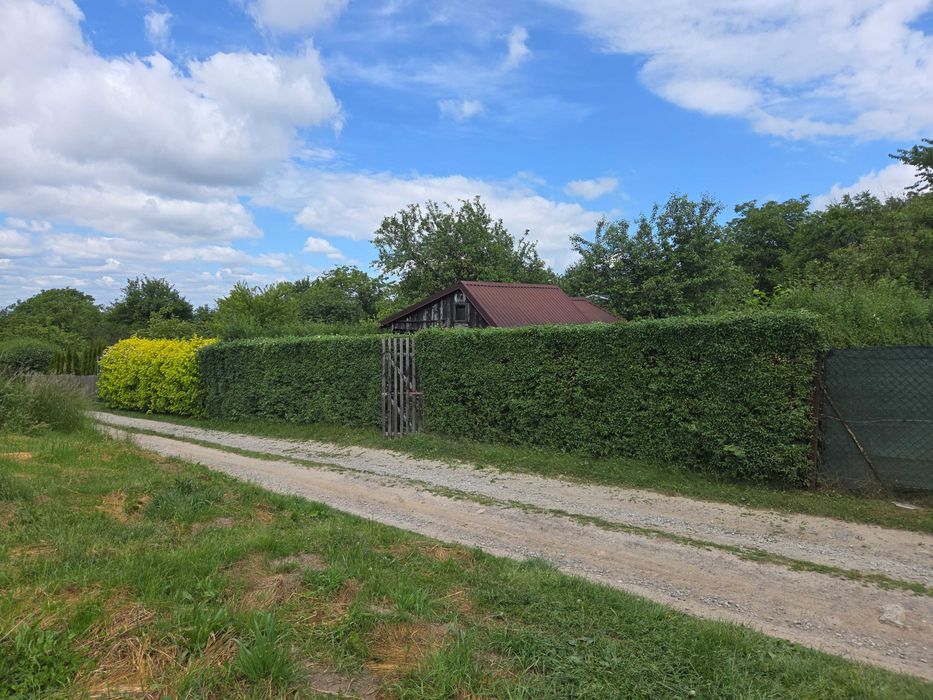 Działka ROD Zdrowie – Rzeszów, ul. Wieniawskiego, 300 m², altana - Widok 4