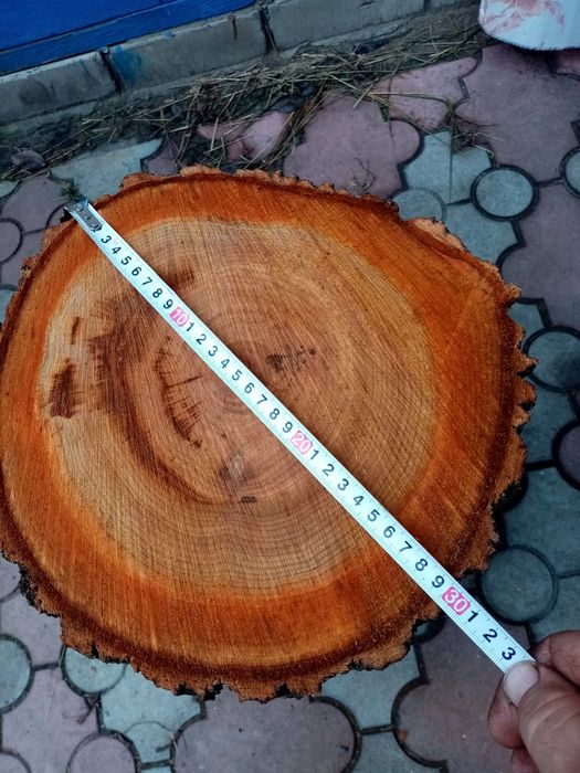 Продам деревянные колоды, кругляк с абрикосы