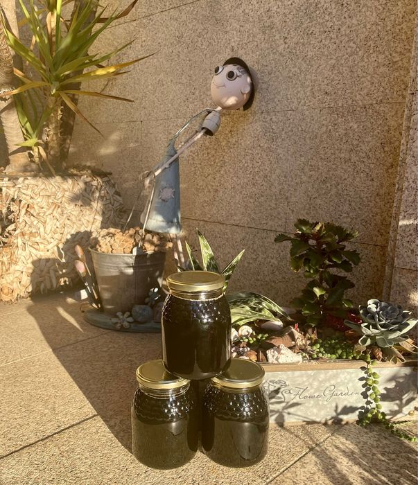 Mel de Montanha ( Montalegre)