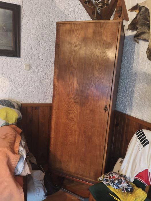 Szafa Gdańska dobre drzewo mocne