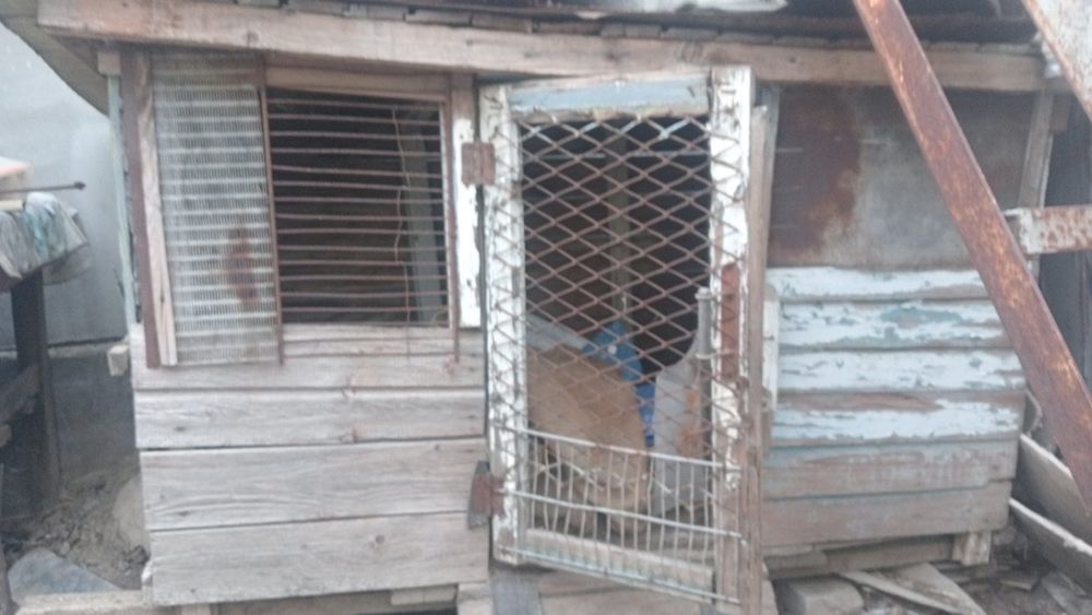 Кролятник для кроликів середній