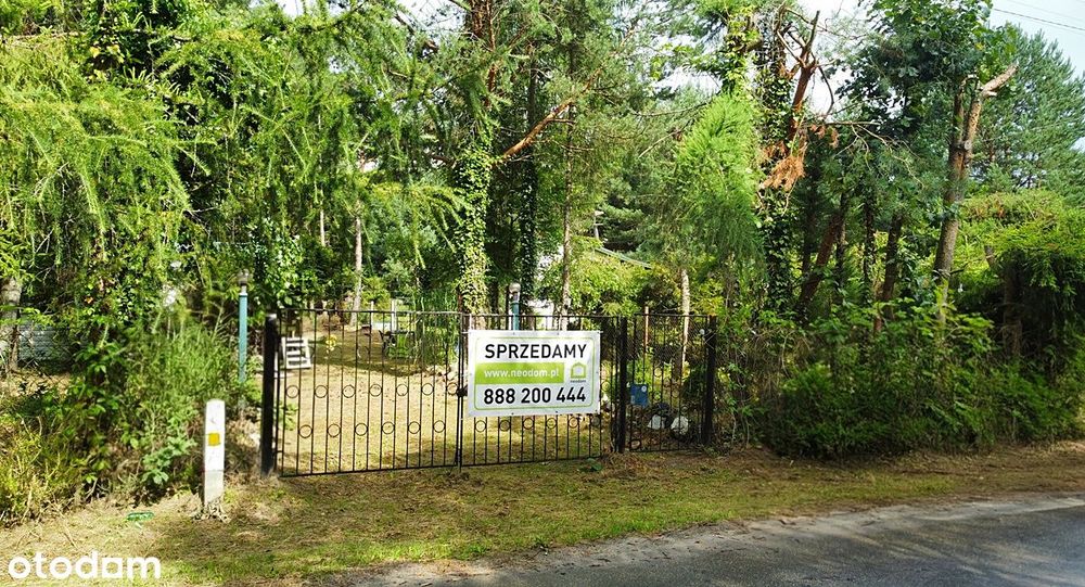 Zdjęcie 8