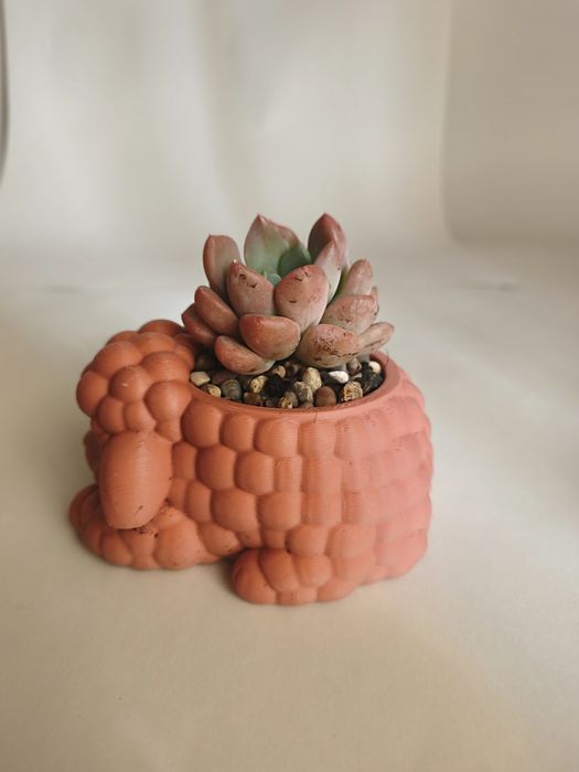 Vaso Decorativo Ovelha com suculenta