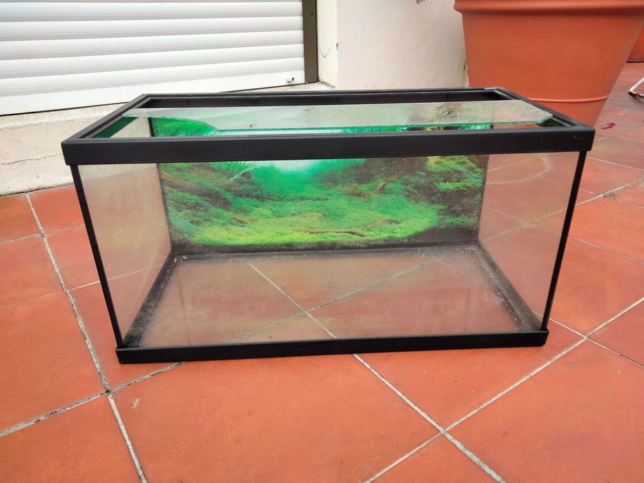 3 Aquários [ 100l, 58l e 58l )