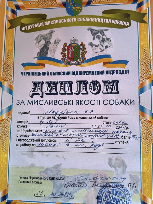 Цуценята Ягдтерєра!