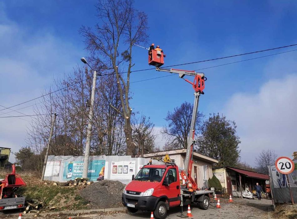 Wycinka drzew, karczowanie