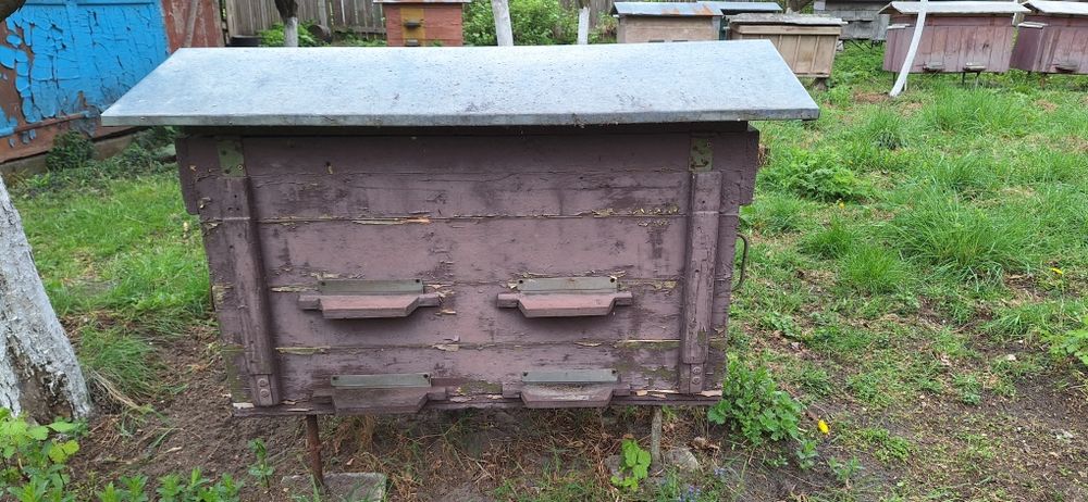 Вулики українки не дорого